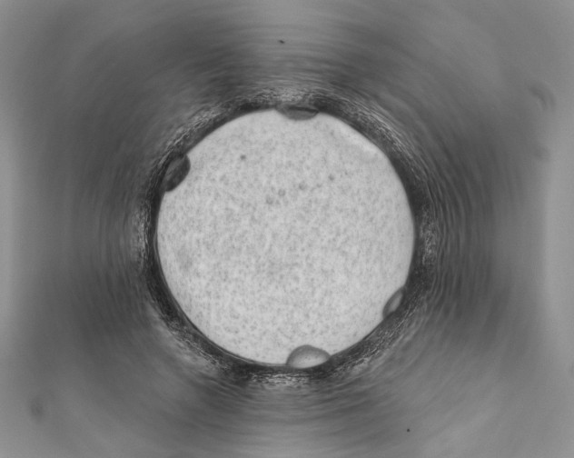 X0000111870546200908201219