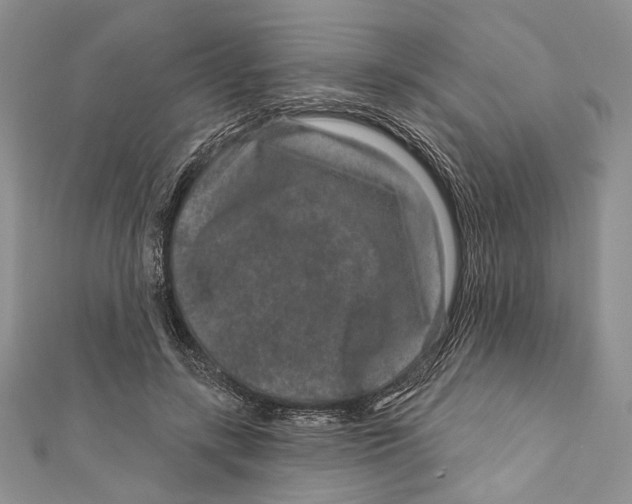 X0000111870547200908201219