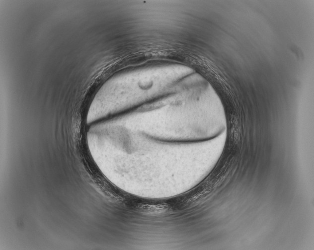 X0000111870548200908201219