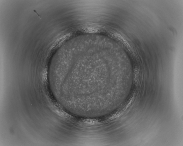 X0000111870549200908201219