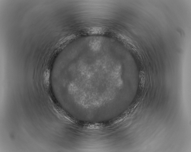 X0000111870550200908201219