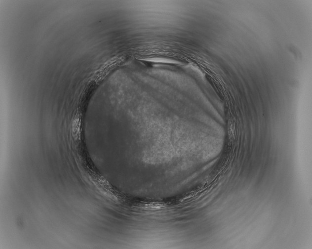 X0000111870551200908201219