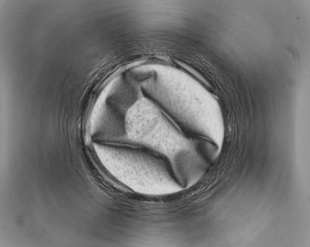 X0000111870552200908201219