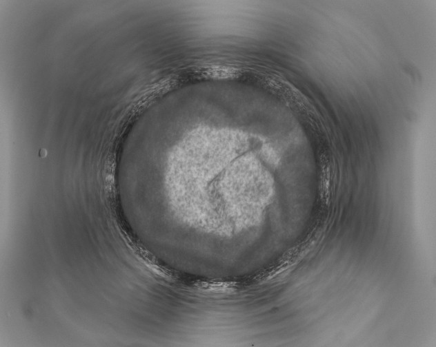 X0000111870553200908201219