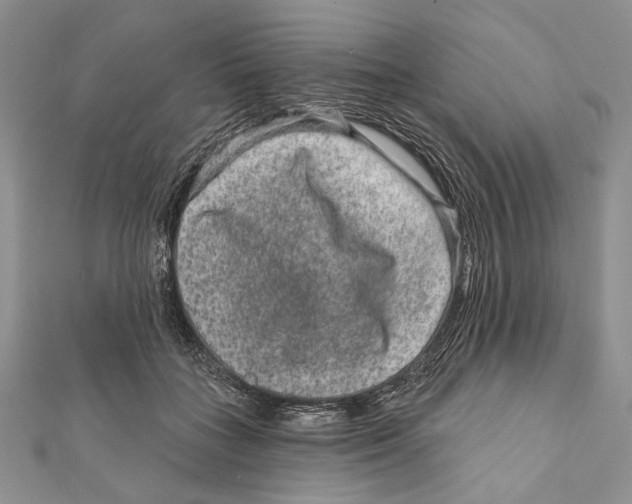 X0000111870555200908201219