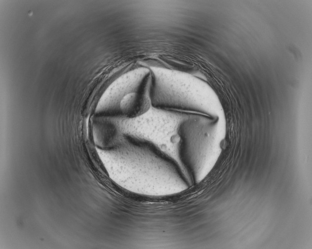 X0000111870556200908201219