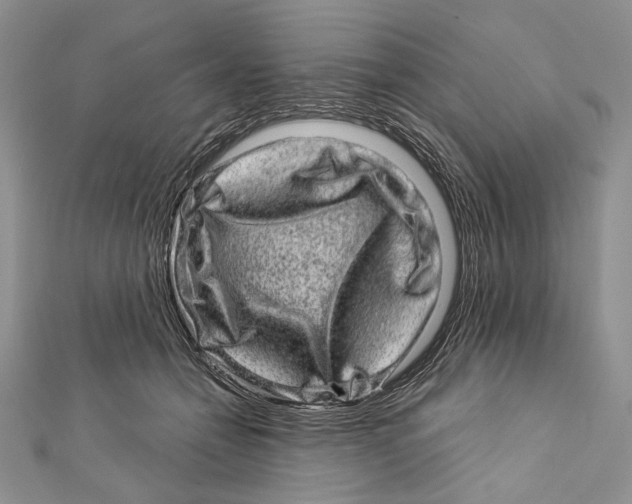 X0000111870558200908201219