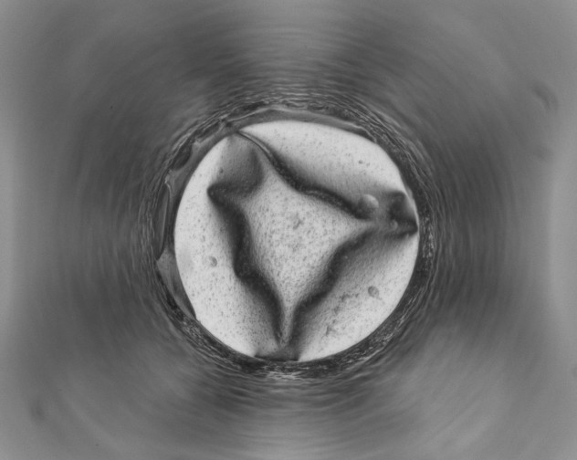 X0000111870560200908201219