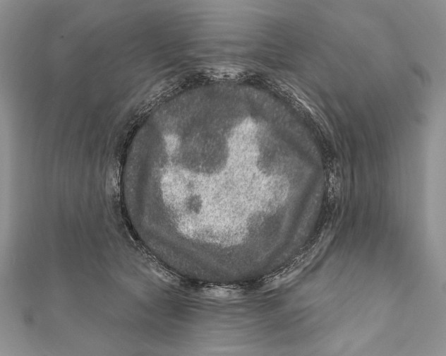 X0000111870561200908201219