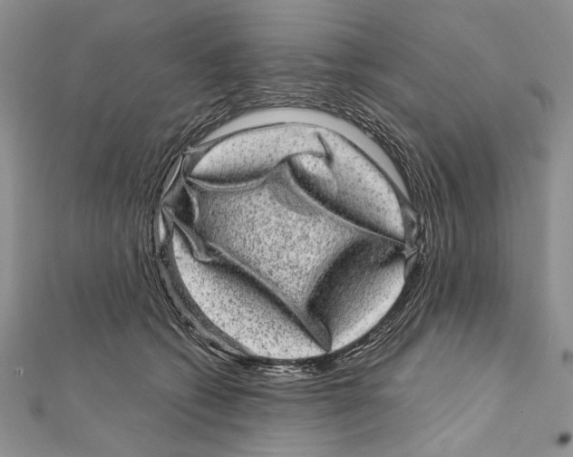 X0000111870562200908201219