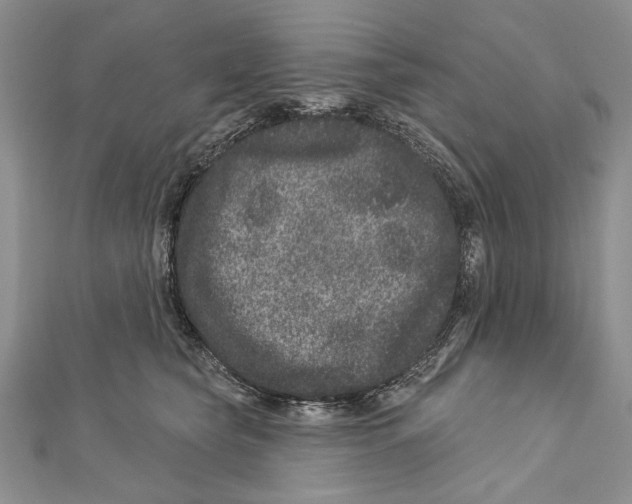 X0000111870565200908201219