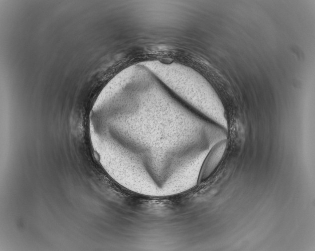 X0000111870566200908201219