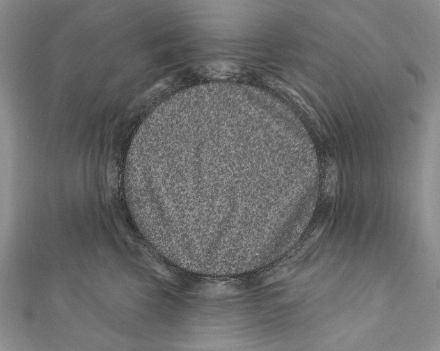 X0000111870569200908201219