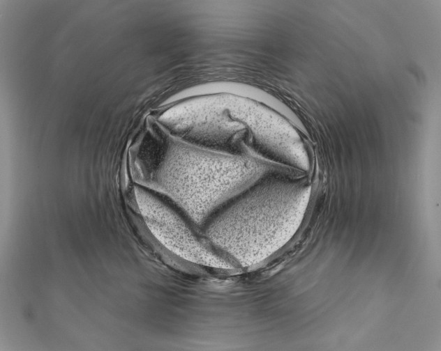 X0000111870570200908201219