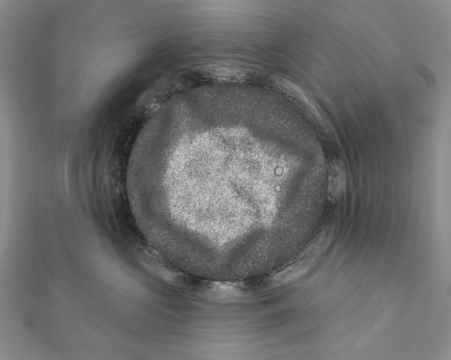 X0000111870573200908201219