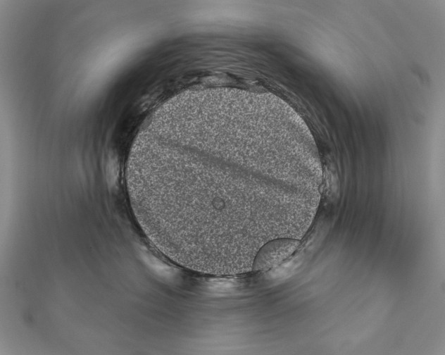 X0000111870574200908201219