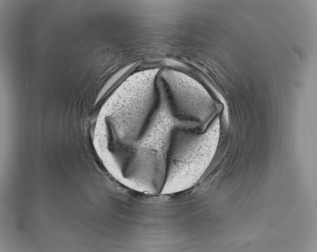 X0000111870576200908201219