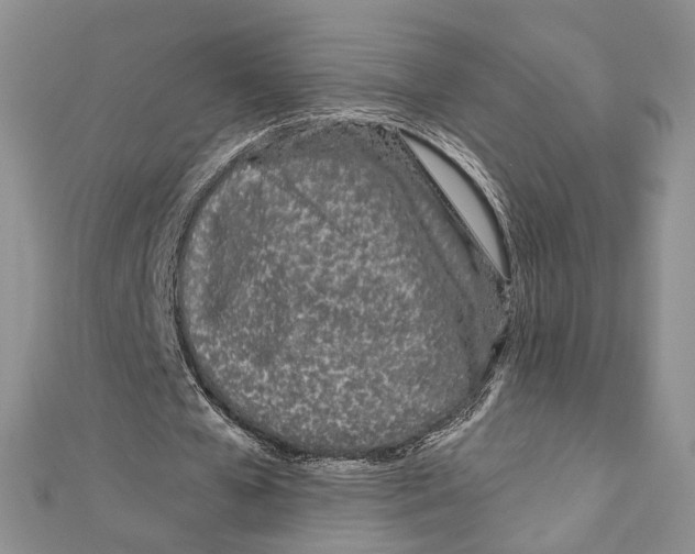 X0000111870577200908201219