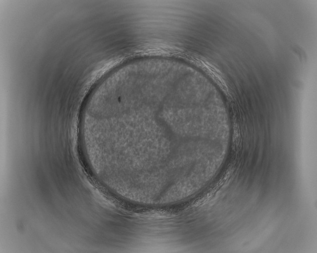 X0000111870578200908201219