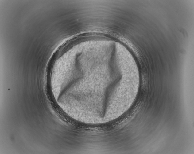 X0000111870580200908201219