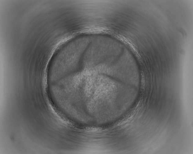 X0000111870582200908201219