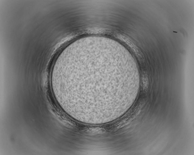 X0000111870583200908201219