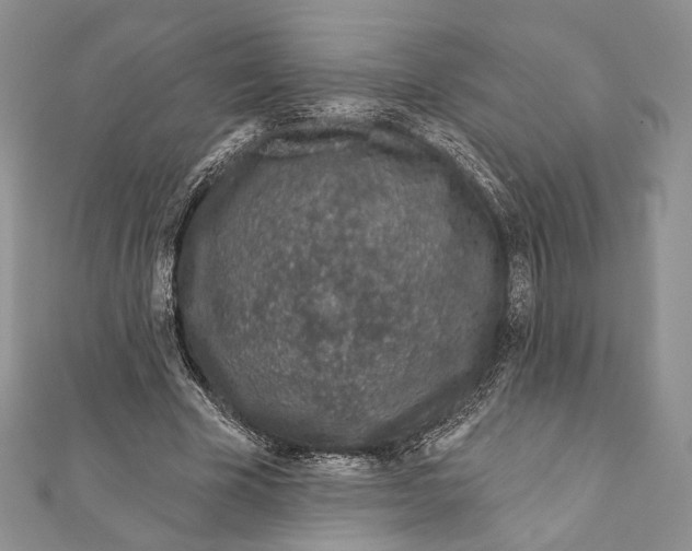 X0000111870585200908201219