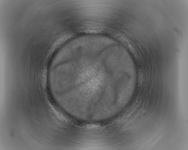 X0000111870586200908201219