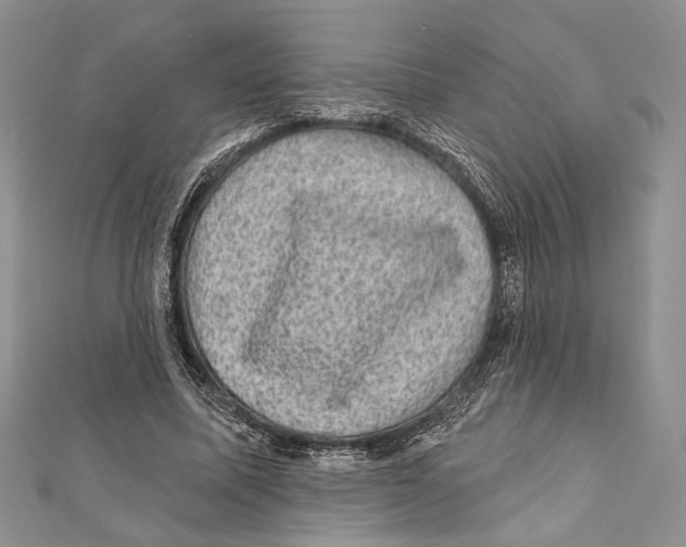 X0000111870587200908201218