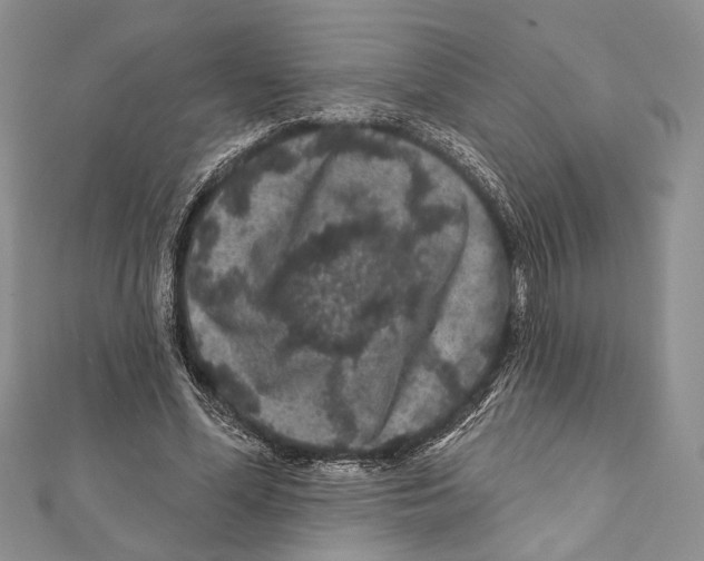 X0000111870588200908201218