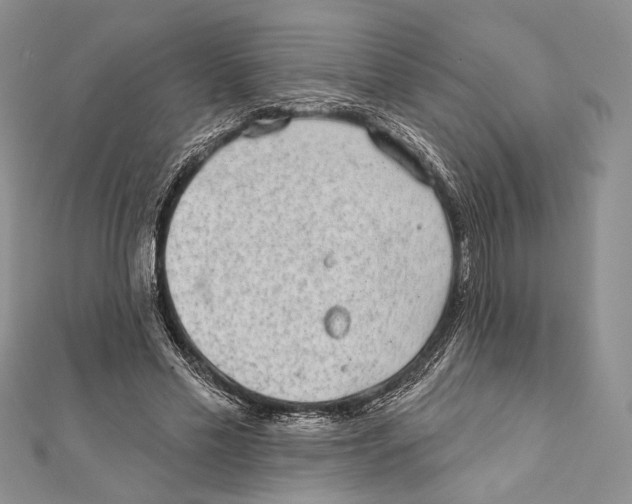 X0000111870589200908201218