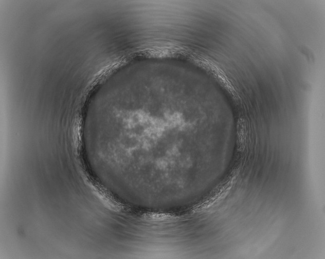 X0000111870590200908201218