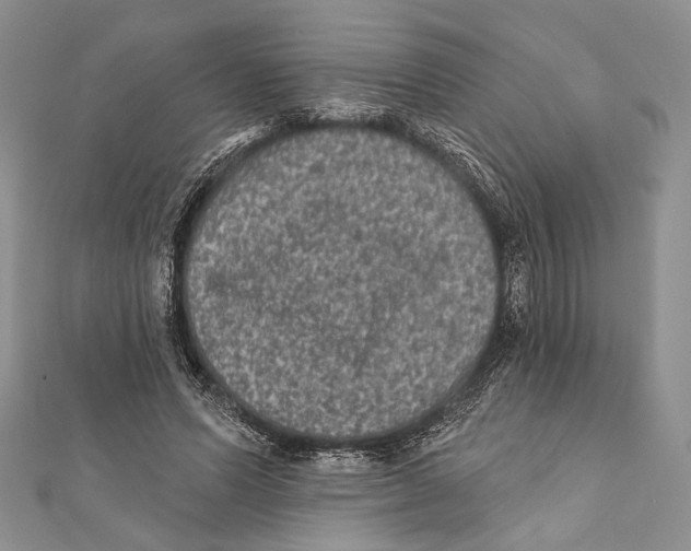 X0000111870591200908201218