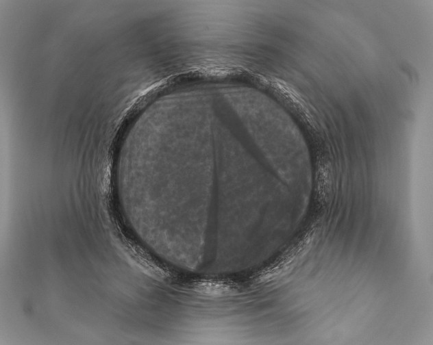 X0000111870596200908201218