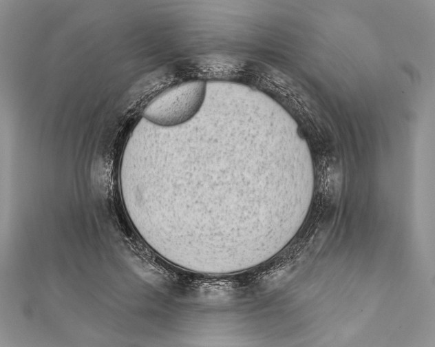 X0000111870599200908201218