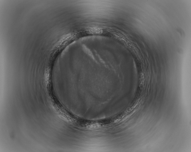 X0000111870600200908201218