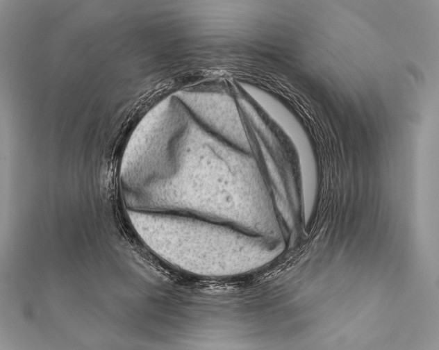 X0000111870601200908201218