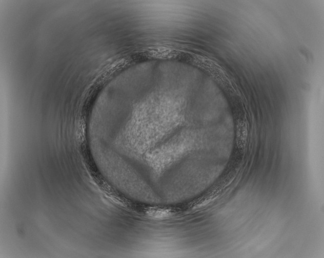 X0000111870602200908201218