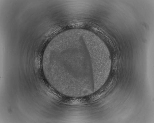 X0000111870604200908201218