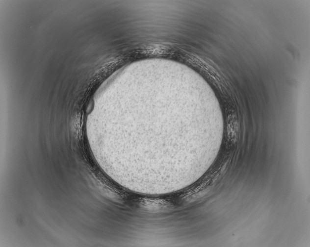 X0000111870605200908201218