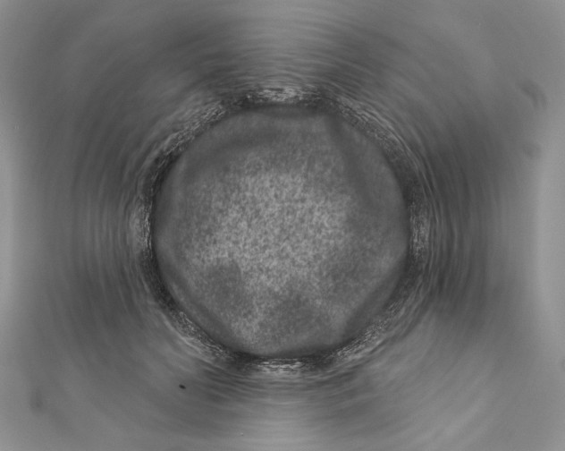 X0000111870606200908201218