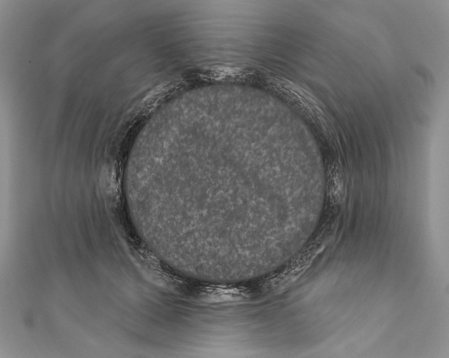 X0000111870607200908201218