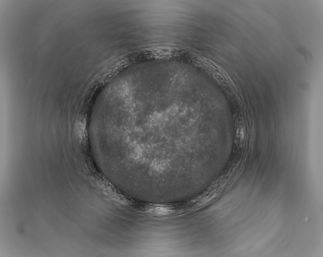 X0000111870610200908201218