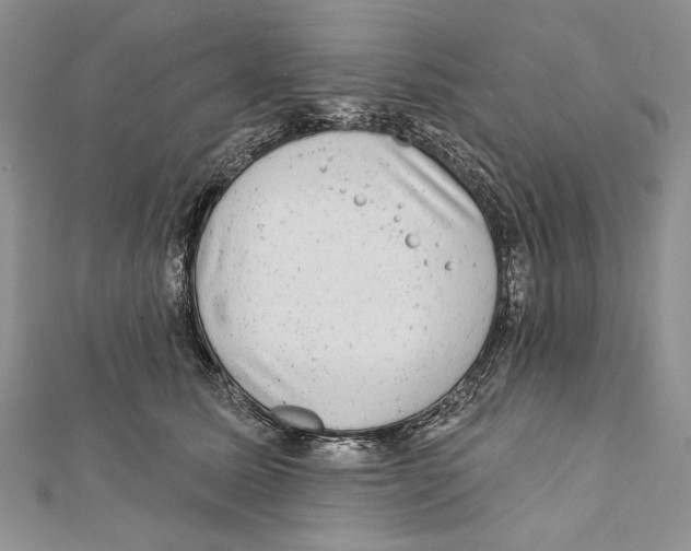 X0000111870611200908201218