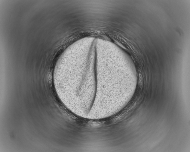 X0000111870613200908201218