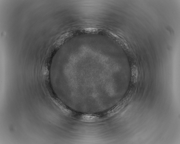 X0000111870614200908201218