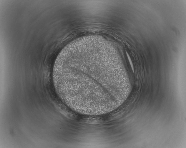 X0000111870615200908201218