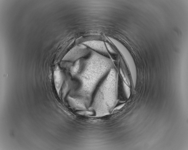 X0000111870617200908201218