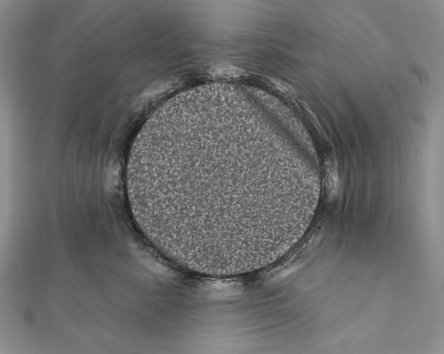 X0000111870619200908201218