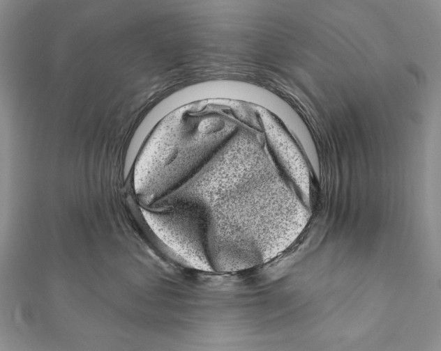 X0000111870621200908201218